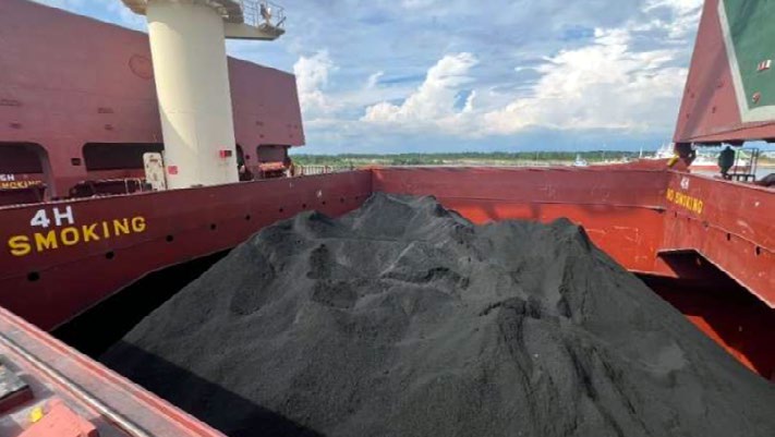 A red shipping container is filled with biochar against a backdrop of blue, cloudy skies and a treeline in the distance.
