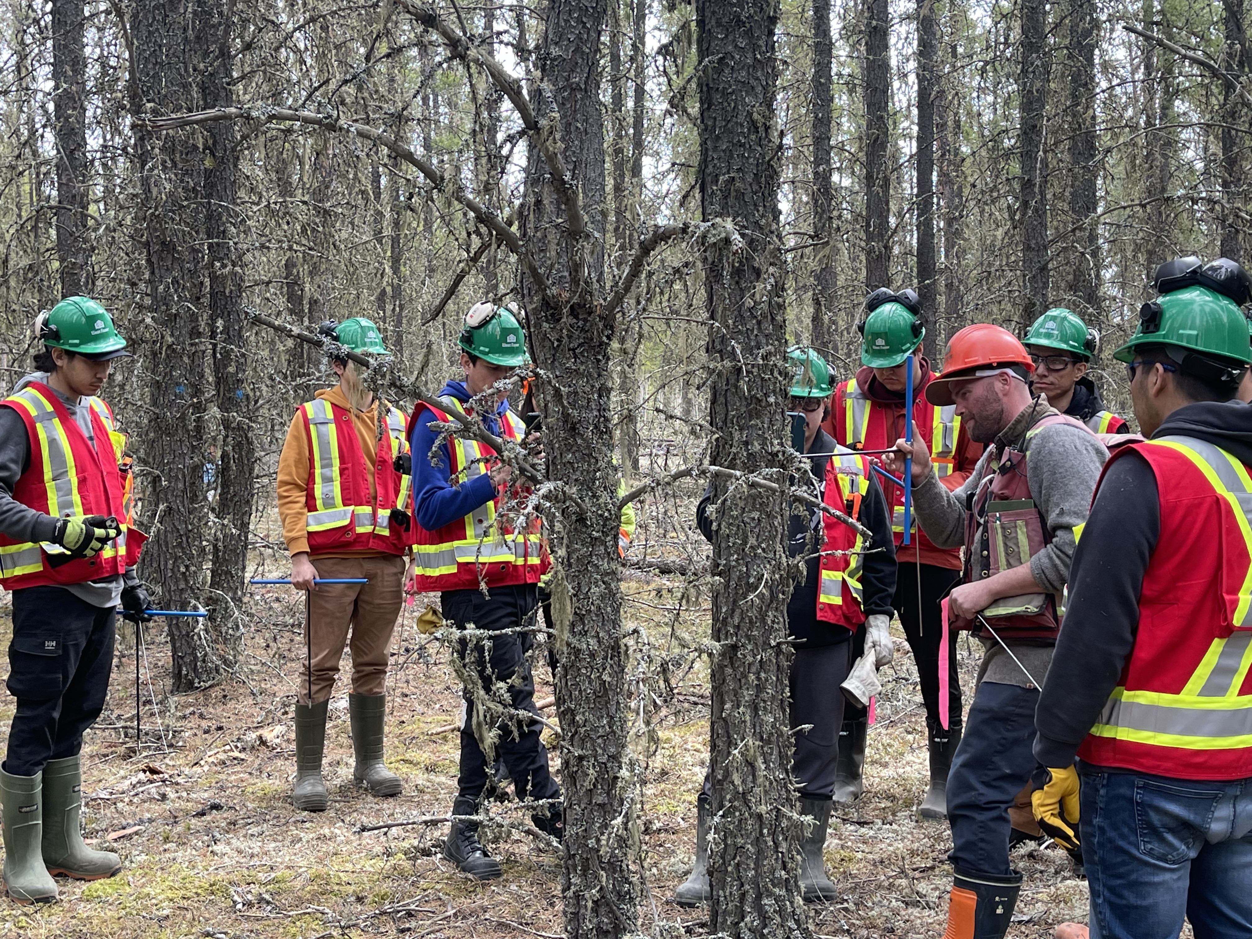 NCW staff teach students about plots and tree measurements.