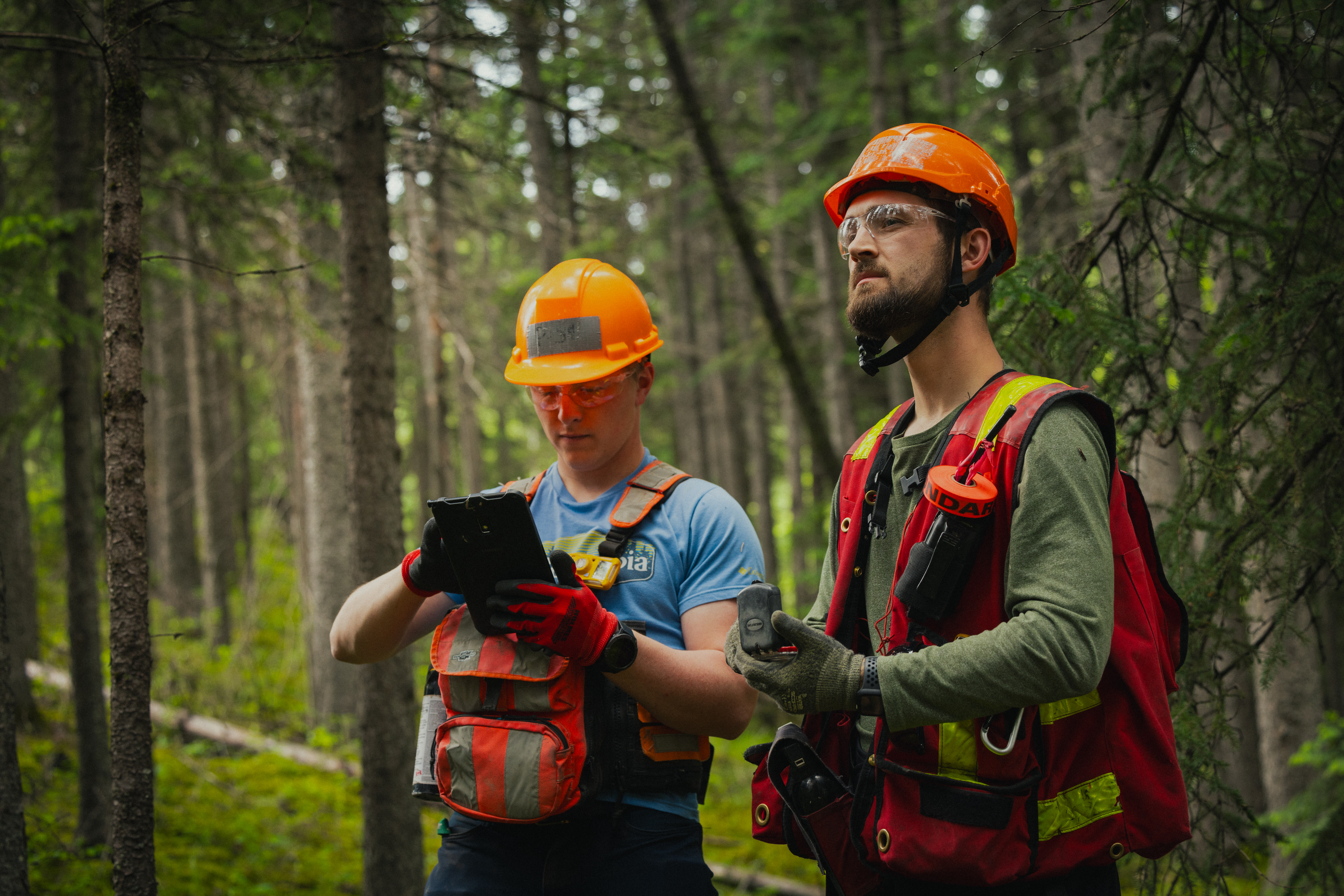 Two forestry workers wearing safety gear stand in a forest; one writes on a clipboard while the other looks ahead, holding a small device.