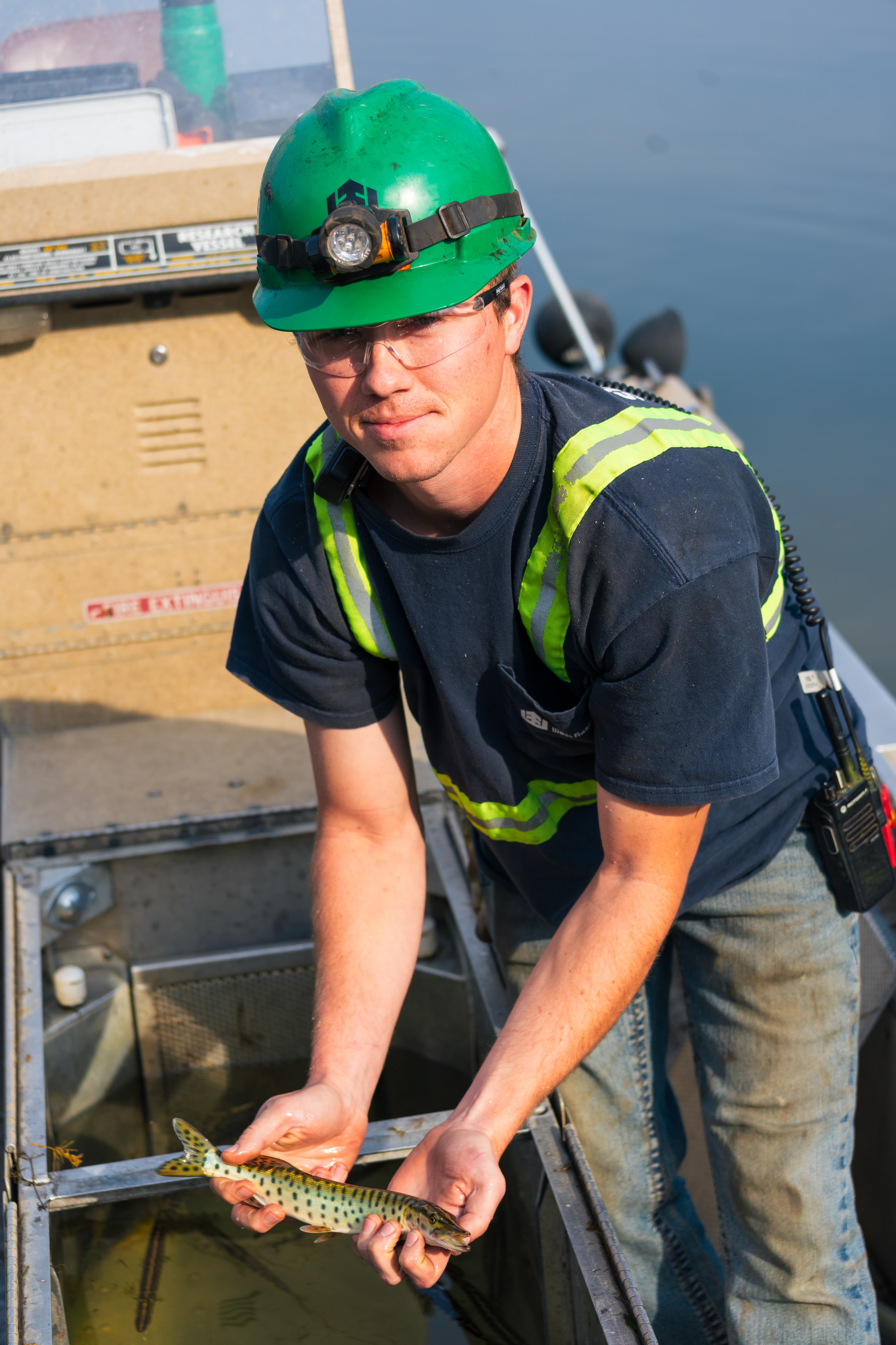 Tyler Bird, Reclaim Operator, holds a harvested juvenile muskie to be moved to Bemidji Lake.