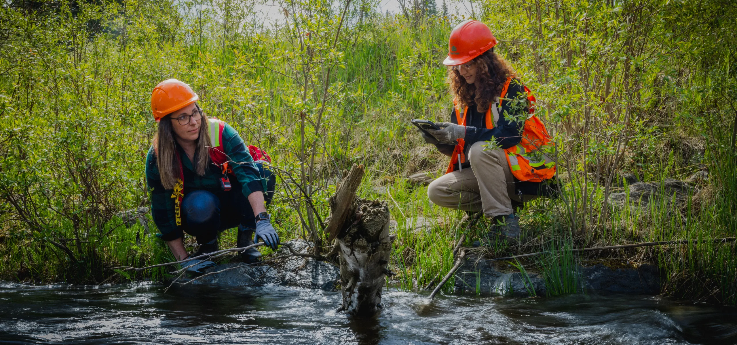 Two people in safety gear study a small river with a fallen branch, surrounded by greenery. One takes notes on a tablet while the other examines the water.