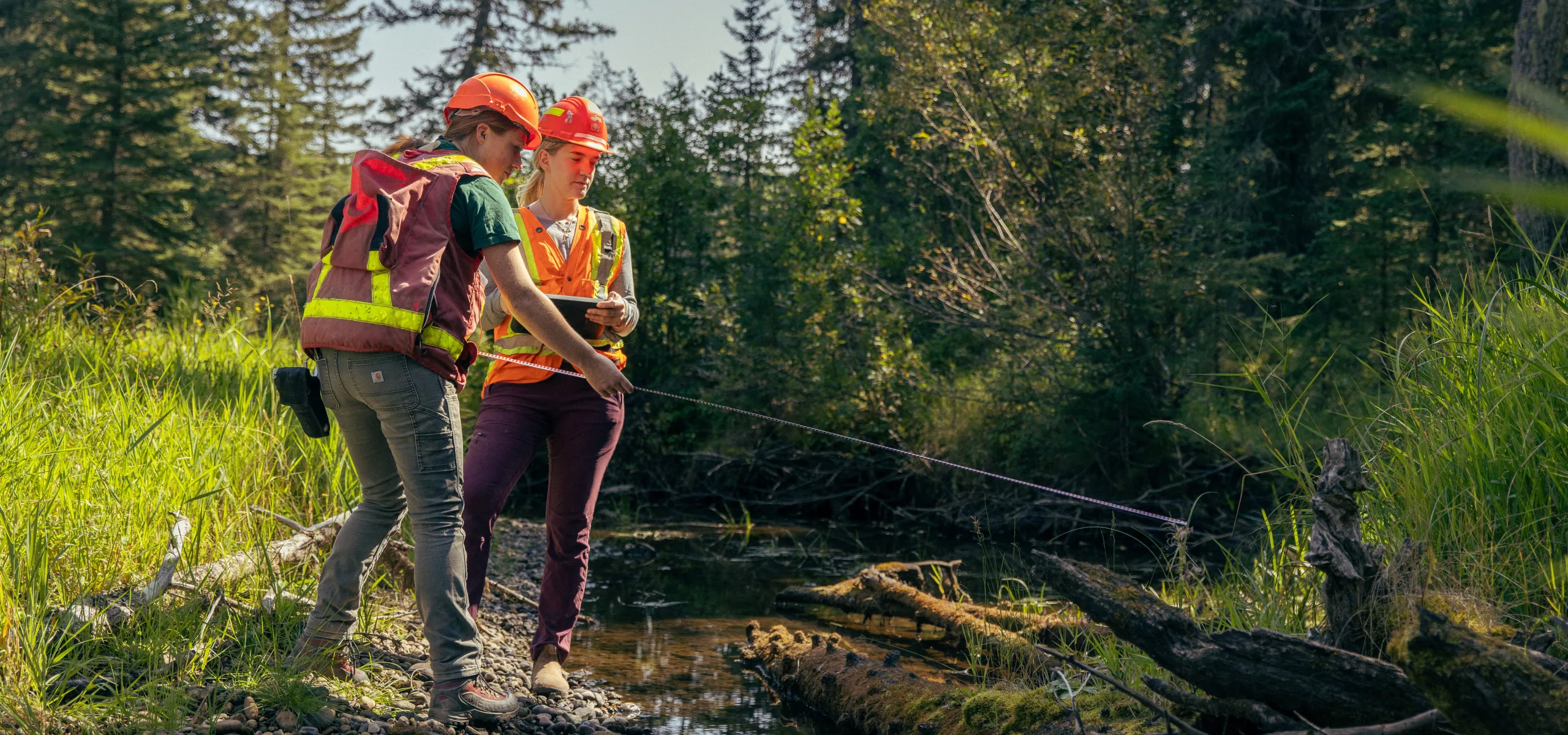 Two people wearing safety vests and helmets use measuring equipment beside a shallow stream in a forested area on a sunny day.