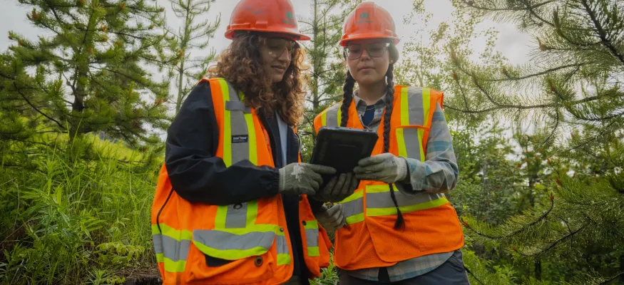 Two workers in bright orange safety vests and helmets examine a tablet in a forested area, surrounded by small trees and greenery.