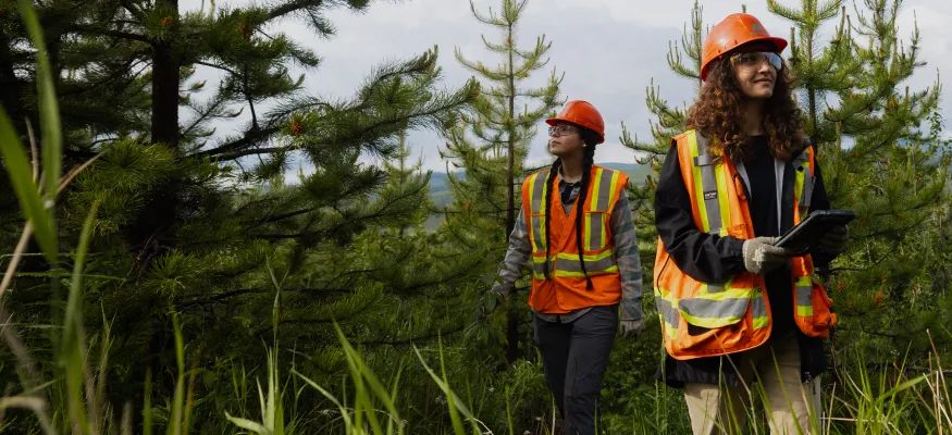Two people wearing orange safety vests and helmets walk through a forested area, one holding a clipboard.