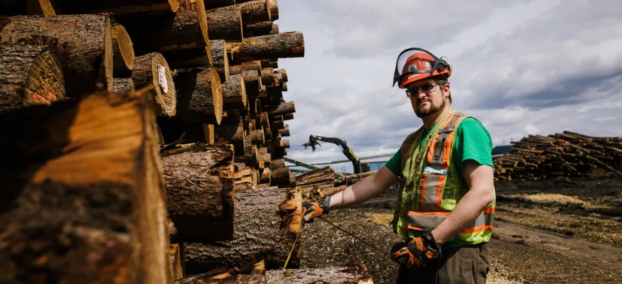 A person wearing protective gear measures a stack of logs outdoors, with a cloudy sky in the background.
