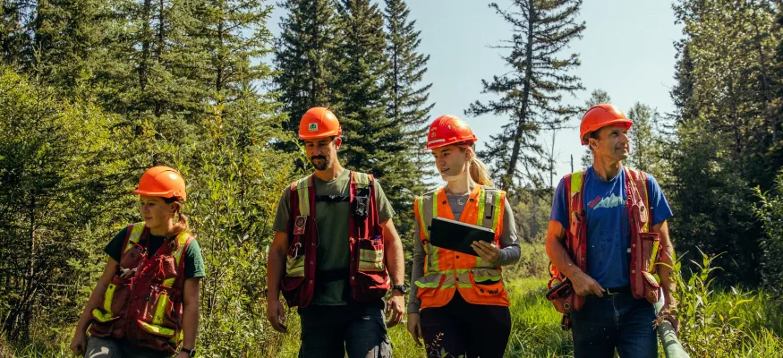 Four people wearing safety gear and helmets walk through a grassy area with tall trees in the background.
