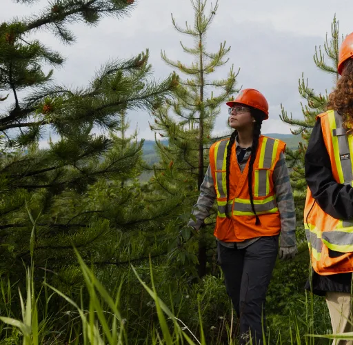 Two people wearing orange safety vests and helmets walk through a forested area, one holding a clipboard.
