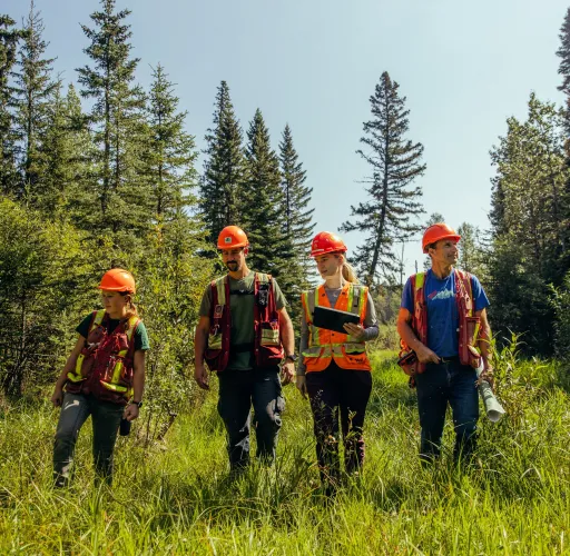Four people wearing safety gear and helmets walk through a grassy area with tall trees in the background.