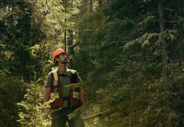 A worker in a red hard hat and safety vest stands in a dense forest, looking upward.