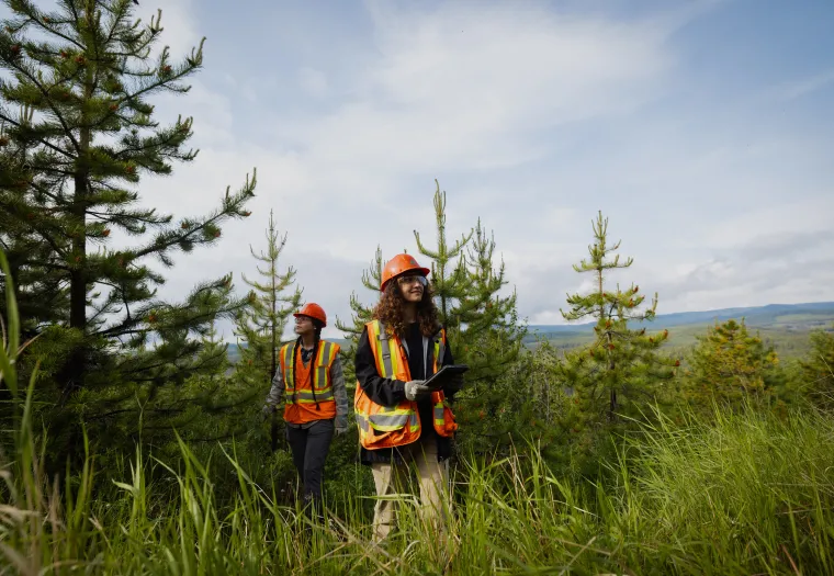 Two people in high-visibility vests and hard hats are working in a forested area, standing among trees and tall grass under a blue sky. One person is holding a tablet and the other is looking ahead.