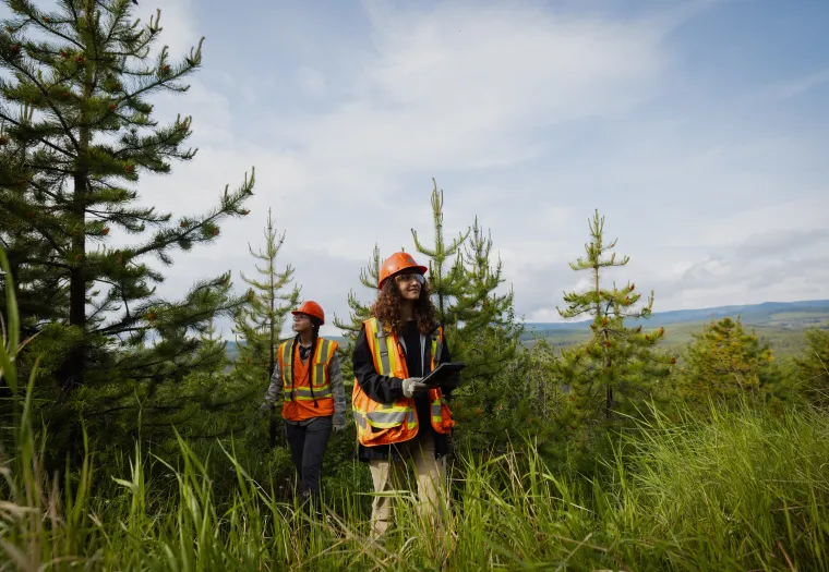 Two people in high-visibility vests and hard hats are working in a forested area, standing among trees and tall grass under a blue sky. One person is holding a tablet and the other is looking ahead.
