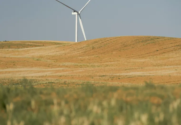 A single wind turbine stands on a grassy hill under a clear blue sky. Dense green vegetation is visible in the foreground.