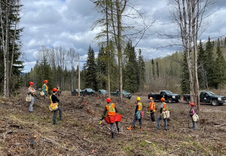 A group of people wearing safety vests and helmets stand in a forested area with equipment bags. Several vehicles are parked along a dirt road in the background.