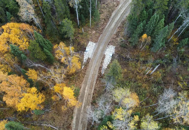 Aerial view of a dirt road running through a forest with trees in fall colors. Some trees have yellow and orange leaves, while others remain green. The road appears to cut through the dense woodland.