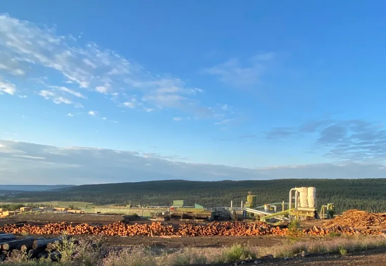 A lumber yard with stacks of logs and industrial buildings set against a backdrop of forested hills and a partly cloudy sky.