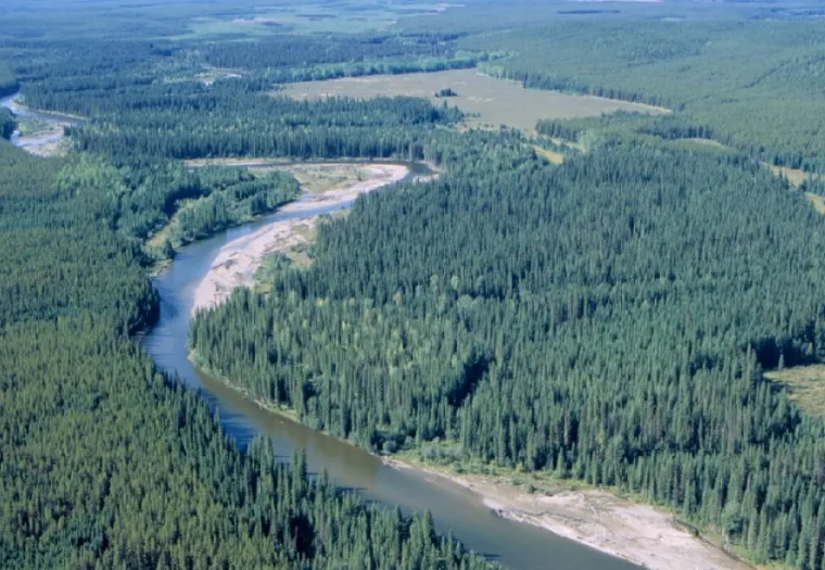 Aerial view of a winding river cutting through a dense forest landscape with scattered clearings and distant fields.
