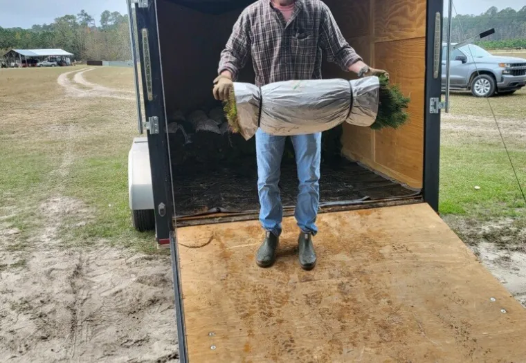 Man standing in a trailer holding a large wrapped plant, wearing a cap and plaid shirt.