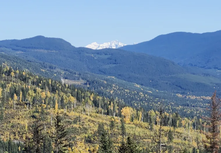 View of rolling hills with scattered trees, a distant mountain range capped with snow under a clear blue sky.
