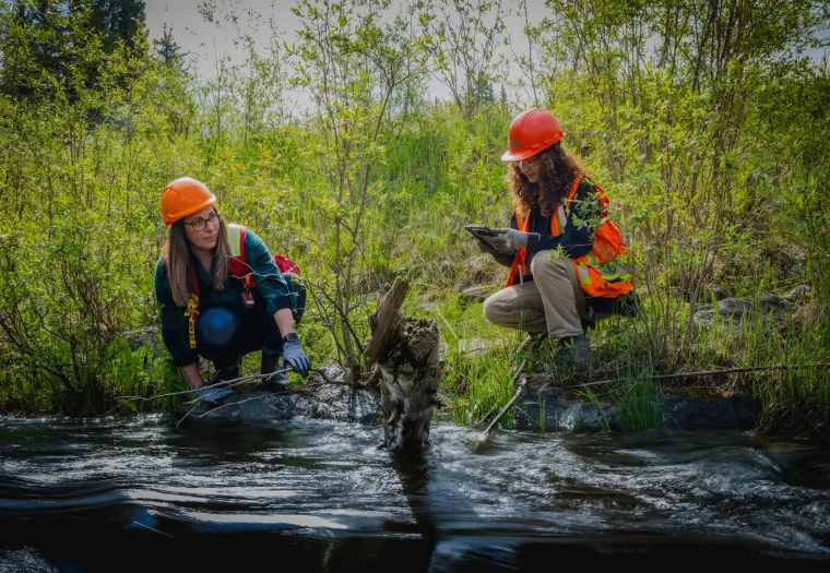 Two people in safety gear study a small river with a fallen branch, surrounded by greenery. One takes notes on a tablet while the other examines the water.