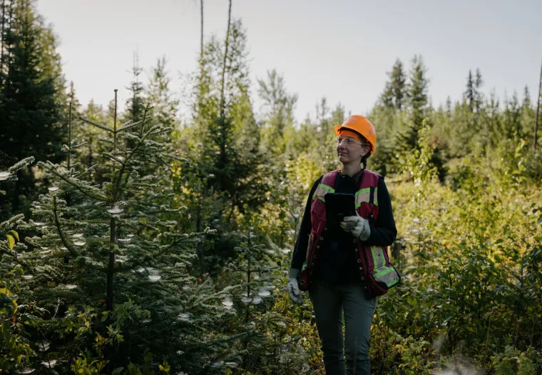 A person wearing an orange hard hat and safety vest stands in a forest, holding a tablet, surrounded by trees and greenery.