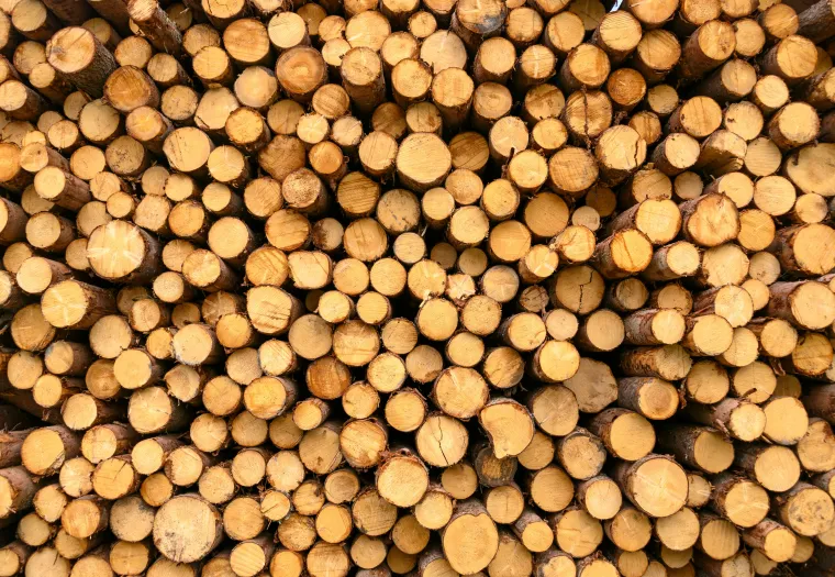 A large stack of cut logs arranged closely together, showing the circular ends of the timber pieces.
