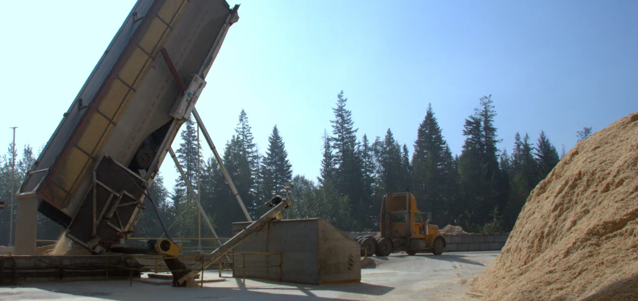 A large truck unloads sawdust onto the ground while a front loader operates nearby at an outdoor facility surrounded by trees.