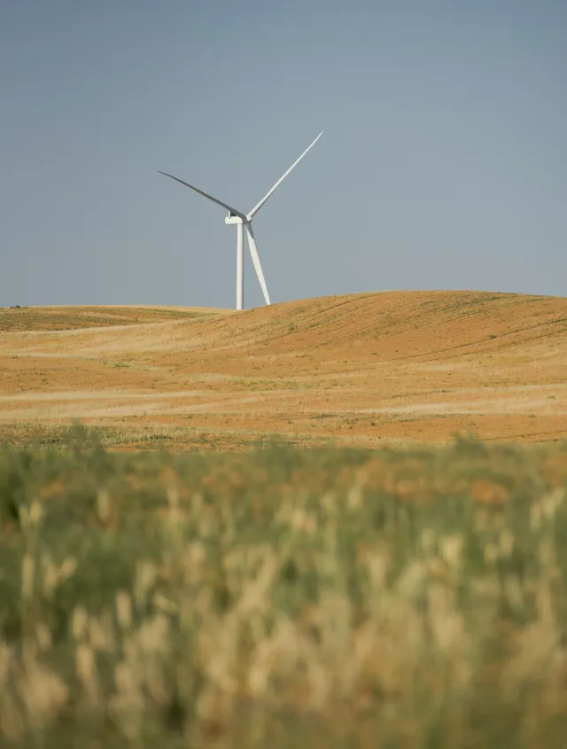 A single wind turbine stands on a grassy hill under a clear blue sky. Dense green vegetation is visible in the foreground.