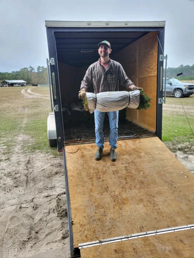 Man standing in a trailer holding a large wrapped plant, wearing a cap and plaid shirt.