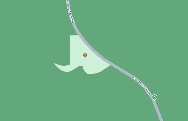 A green map with a road labeled "Forestry Trunk Rd" curving through it. There's a pin marker in a pale green area, indicating a specific location along the road.