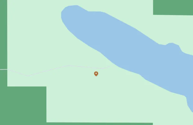 Map showing a pin dropped near the edge of a blue water body, surrounded by green land.