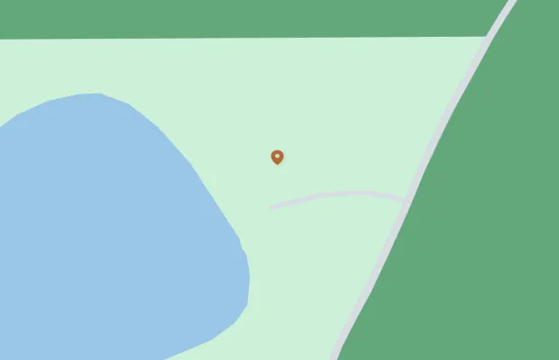 A map showing a marker positioned near the edge of a blue body of water. A grey road runs parallel to the water, and green areas denote land.