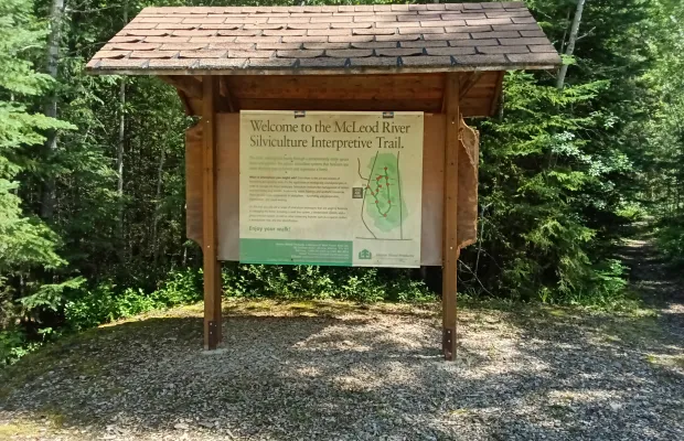 Outdoor informational sign under a wooden shelter reads "Welcome to the McLeod River Silviculture Interpretive Trail" with a map and description, surrounded by trees.