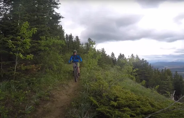 A person wearing a blue jacket and helmet rides a mountain bike on a narrow dirt trail surrounded by trees and bushes under a cloudy sky.