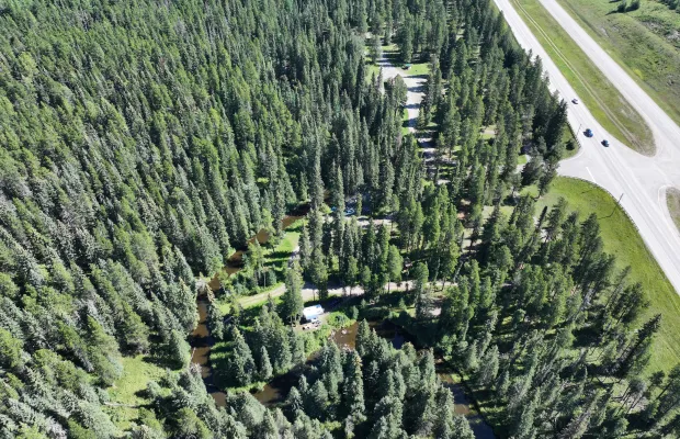 The Hornbeck Campground is located adjacent to Highway 16 and Hornbeck Creek.