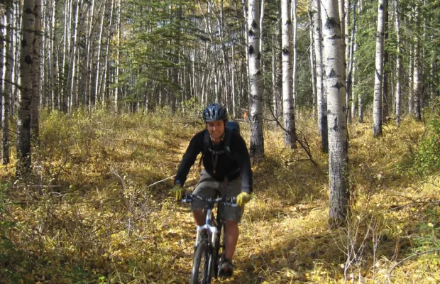 A person rides a mountain bike along a narrow dirt trail through a forest of tall, slender trees with yellow autumn leaves on the ground.