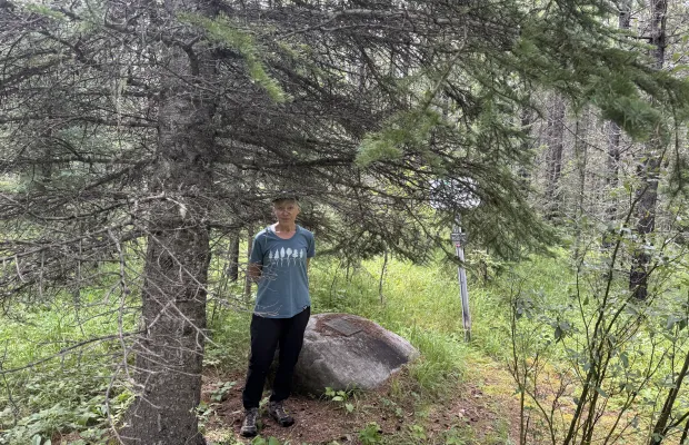 A person stands in a forest next to a large rock and beneath the branches of a pine tree. Dense greenery and trees fill the background.