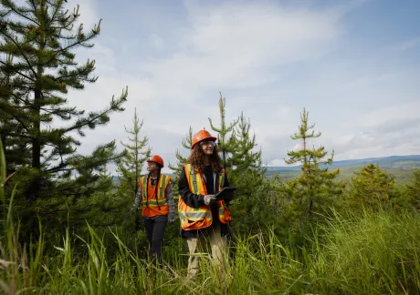 Two people in high-visibility vests and hard hats are working in a forested area, standing among trees and tall grass under a blue sky. One person is holding a tablet and the other is looking ahead.
