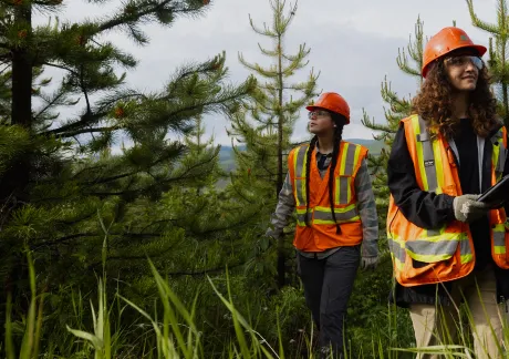 Two people wearing orange safety vests and helmets walk through a forested area, one holding a clipboard.