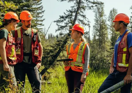 Four people wearing safety vests and hard hats stand in a grassy outdoor area, engaged in conversation with trees visible in the background.