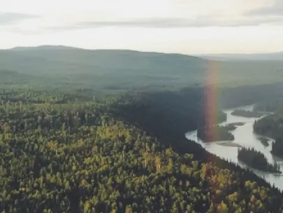 Aerial view of a dense forest landscape with a winding river, a rainbow, and distant mountains under a partly cloudy sky.