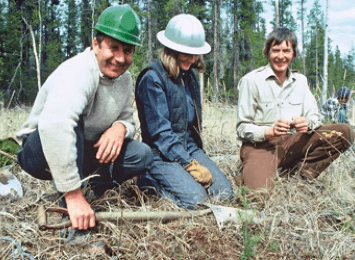 Three people in outdoor clothing and hard hats are planting trees in a forested area. The person on the left holds a small shovel.